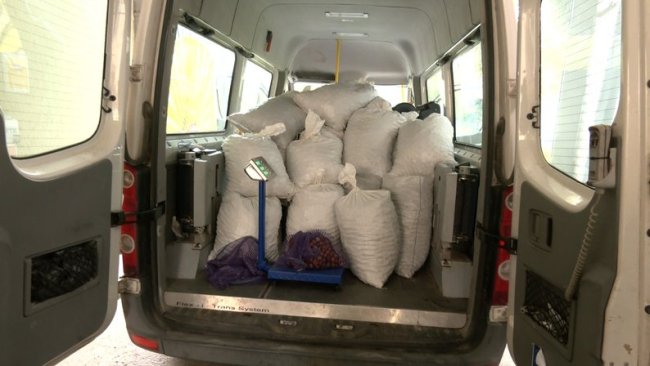 Допомога ЗСУ: луцькі дітлахи зібрали понад 10 тонн каштанів