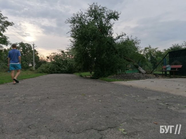 Люди лишилися без світла: на Волині вирував буревій. ФОТО