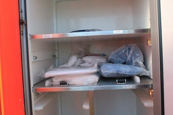 Карети швидкої допомоги, привезені Самообороною. ФОТО