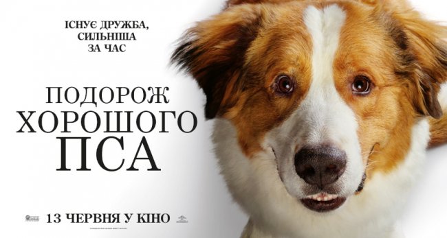 Куди піти на вихідні у Луцьку: 14 – 16 червня