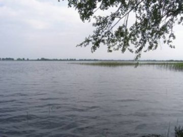 У озері на Волині виявили тіло чоловіка