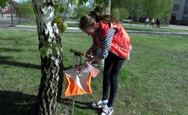 На Волині відбувся Чемпіонат зі спортивного орієнтування. ФОТО