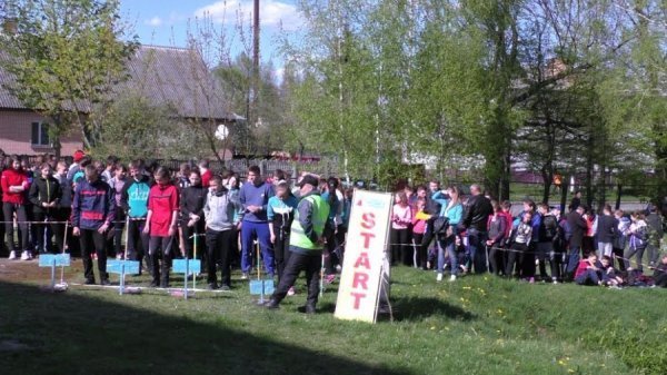 На Волині відбувся Чемпіонат зі спортивного орієнтування. ФОТО