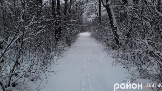 Неймовірні фото засніженого Шацького поозер'я
