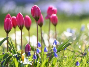 Погода у Луцьку та Волинській області на вівторок, 24 березня