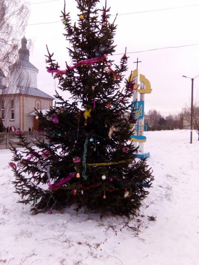 Через вандалів, які понищили ялинку, у селі на Волині хочуть заборонити дискотеки 