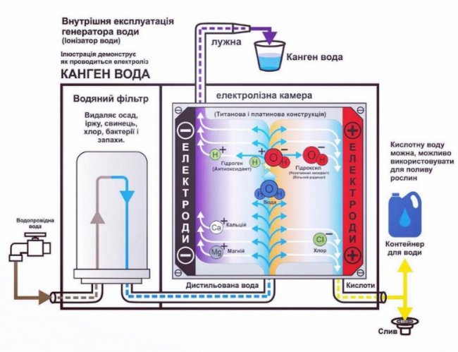 Світовий тренд довголіття, здоров'я і краси: вода Kangen тепер доступна в Луцьку*