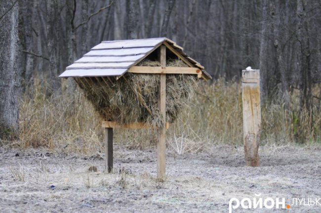 Як на Волині рятують диких тварин від холоду і голоду. ФОТО. ВІДЕО