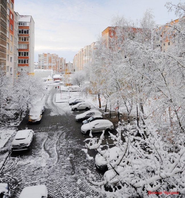 Волинський фотограф поділився казковими світлинами засніженого Луцька
