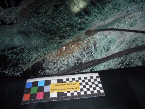 На Рівненщині п’яний на «бляхах» наїхав на віз 