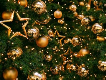 Біля луцького РАЦСу урочисто засвітять ялинку