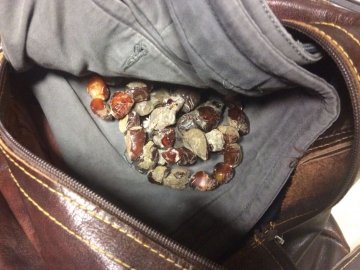 В «Устилузі» митники вилучили у чоловіка бурштин