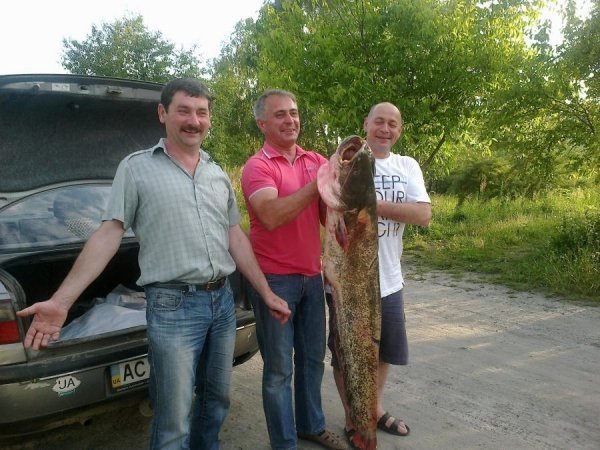 Волинянин витяг 20-кілограмового сома. ФОТО