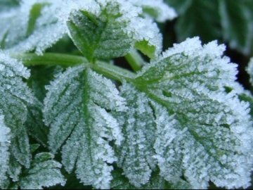 Синоптики обіцяють потепління 