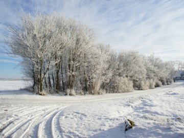 Погода в Луцьку та Волинській області на завтра, 5 січня