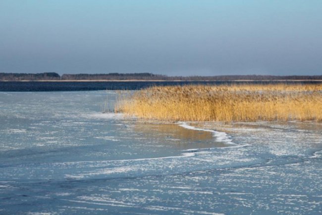 Опублікували зимові світлини мальовничого Світязю. ФОТО