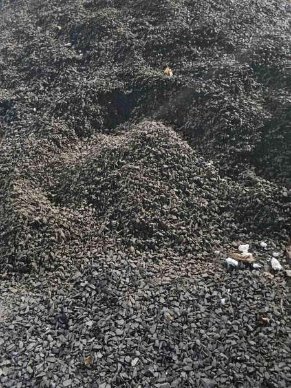 Ковельчанин украв щебінь з будівельного майданчика. ФОТО