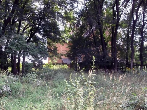 Нововолинський парк перетворився на хащі. ФОТО