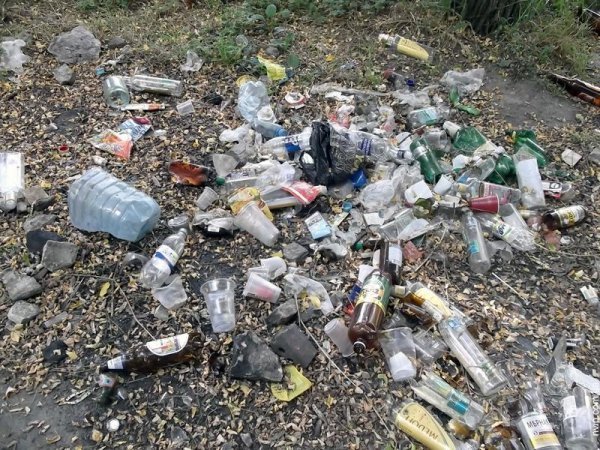 Нововолинський парк перетворився на хащі. ФОТО