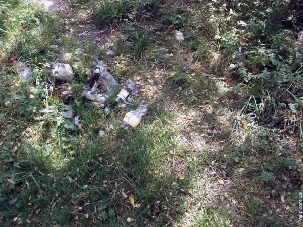 Нововолинський парк перетворився на хащі. ФОТО