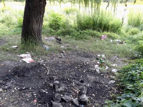 Нововолинський парк перетворився на хащі. ФОТО