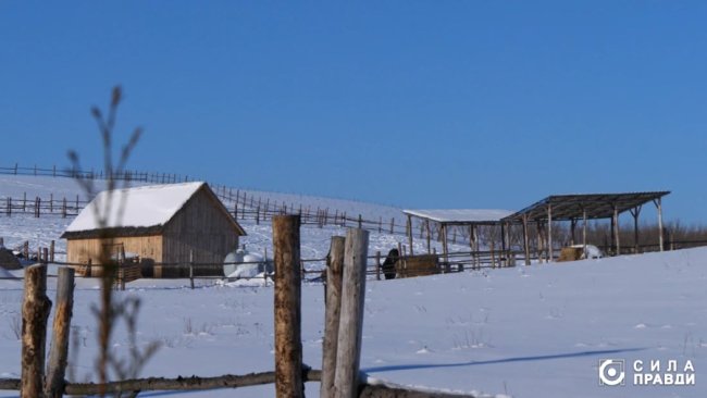 Директор «Луцькспецкомунтрансу» не вказав у декларації квартиру, авто і бізнес з фундуком – розслідування