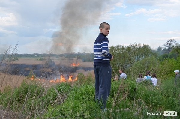 Пожежа очерету на Гнідаві. ФОТО. ВІДЕО