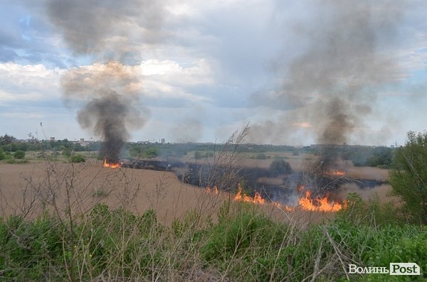 Пожежа очерету на Гнідаві. ФОТО. ВІДЕО
