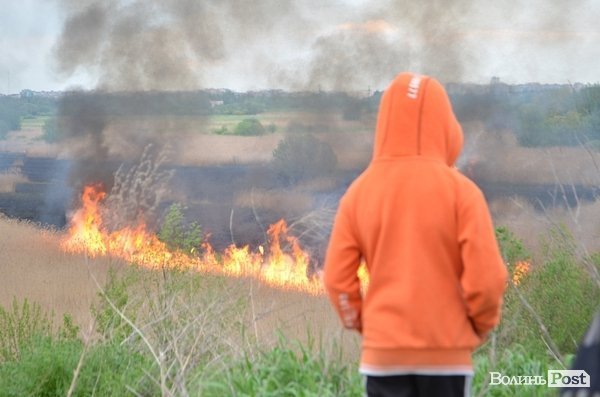 Пожежа очерету на Гнідаві. ФОТО. ВІДЕО