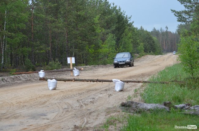 Війна у лісах Волині: підготовка загонів тероборони