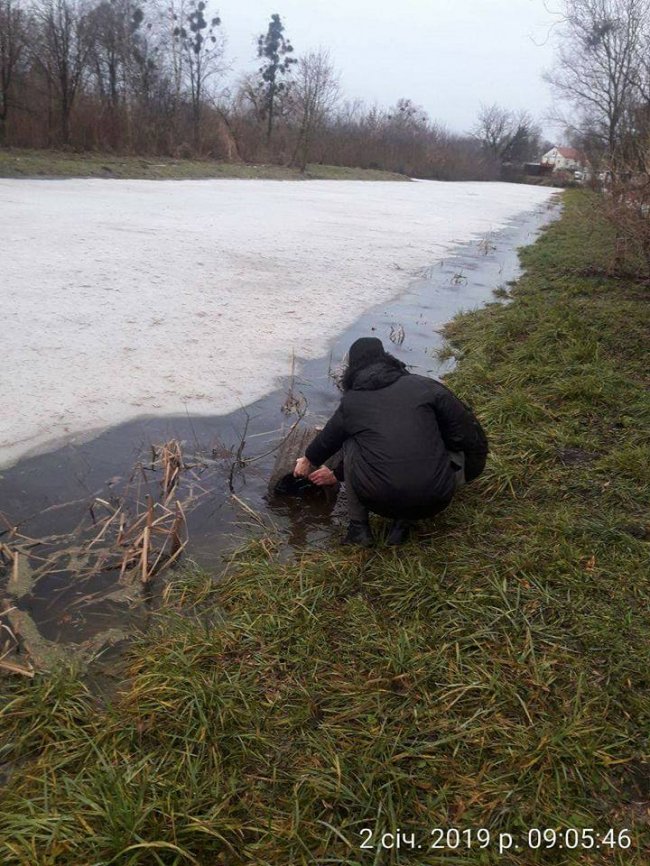 Смітники — в канаві: у луцькому парку похуліганили вандали. ФОТО