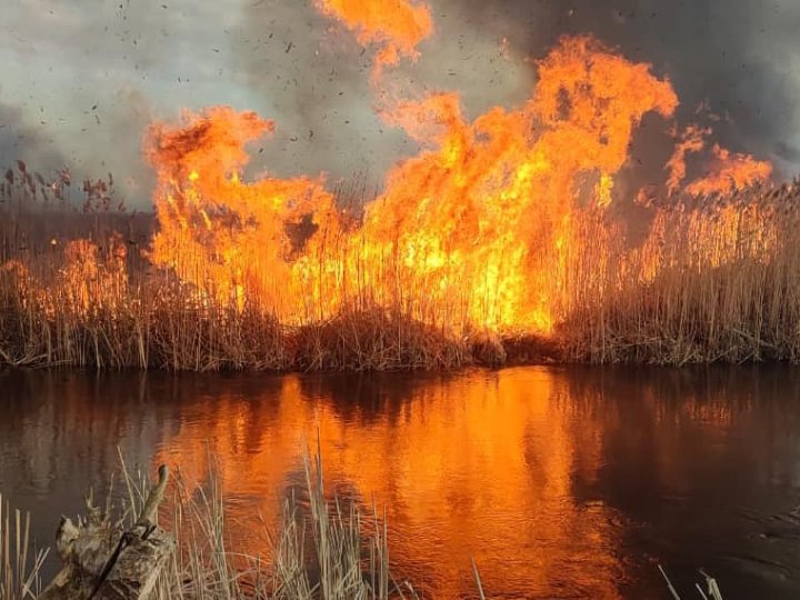 Вирує масштабна пожежа на болоті на Волині