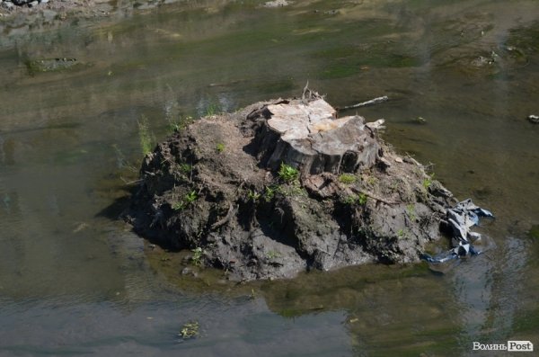 У Луцьку біля Сапалаївки буде скейтпарк і роледром. ФОТО