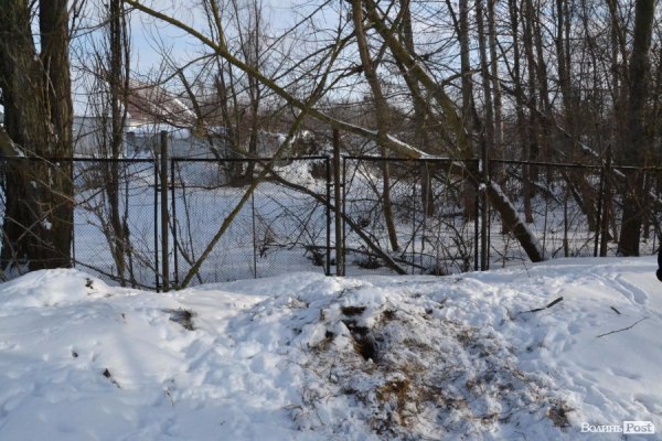 У Луцьому зоопарку помер кабан