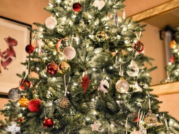 Католицьке Різдво в Україні 2018: скільки вихідних матимуть українці