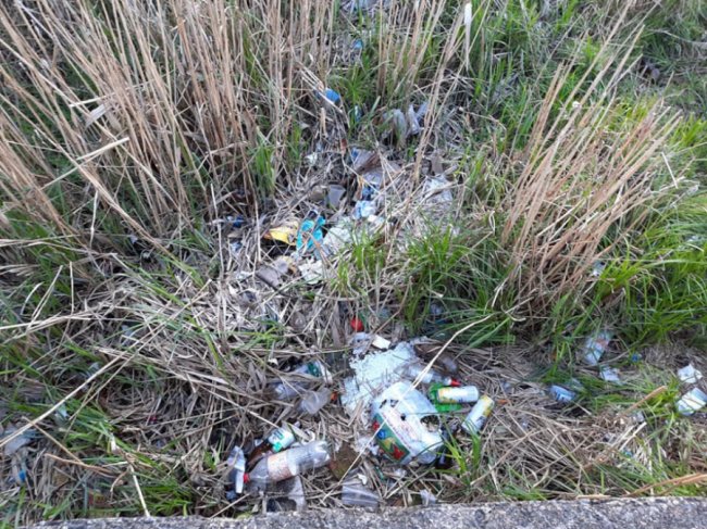 Купи сміття та обміління: показали, який вигляд має озеро у Ківерцях. ФОТО