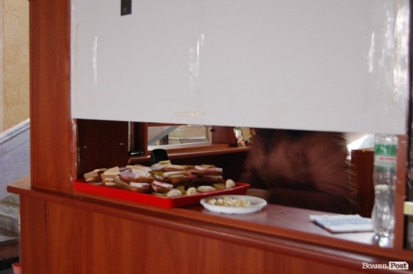 Волинська ОДА: ніч і ранок після штурму. ФОТО