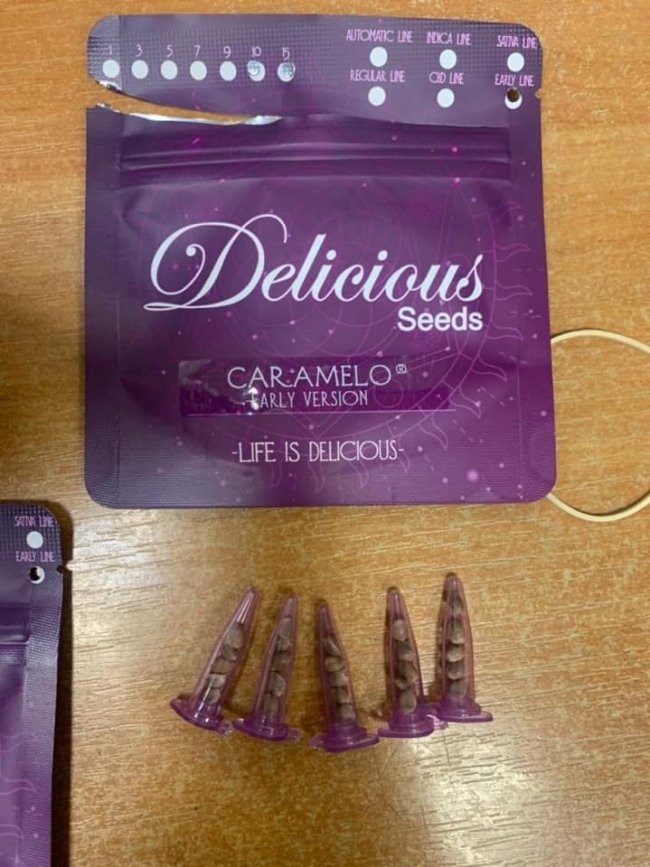 На «Ягодині» у авто знайшли декілька ящиків з насінням коноплі вартістю понад 1 мільйон. ФОТО