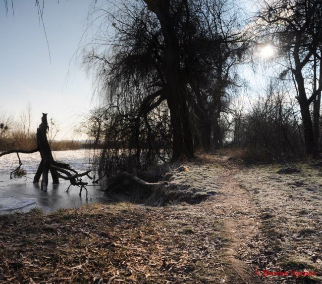 Опублікували фото закутого в кригу Стиру