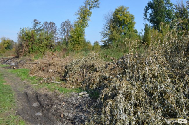 Дихати неможливо: лучани скаржаться на сміття та паліїв у центральному парку