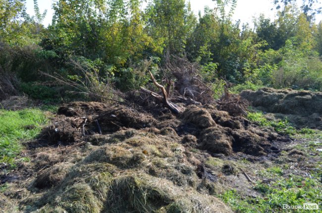 Дихати неможливо: лучани скаржаться на сміття та паліїв у центральному парку