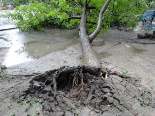Одеса й Миколаїв плавають. ФОТО. ВІДЕО