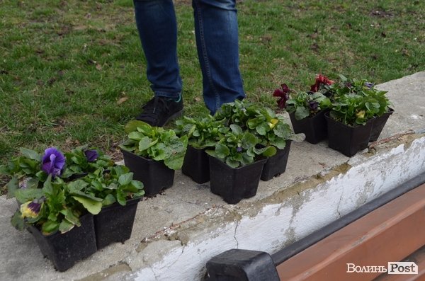 Активні волиняни на Театральному майдані зробили клумбу у формі серця 