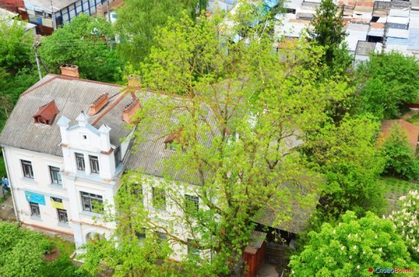 Луцьк з В'їзної вежі замку. ФОТО