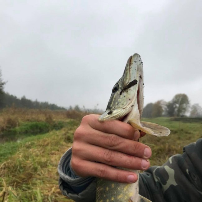 «Риболовля – це класно, якщо ви не провалюєтесь у боброву яму», – волинська журналістка