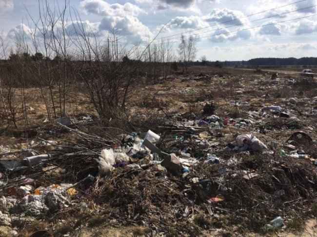 ДП «Поліське ЛГ», Куклинське лісництво, поблизу с. Кам’януха (біля кварталу 27) , фото «до»