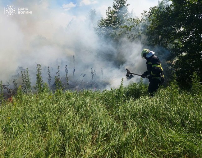 Пожежі на Волині: горіли трава, житловий будинок та вантажівка