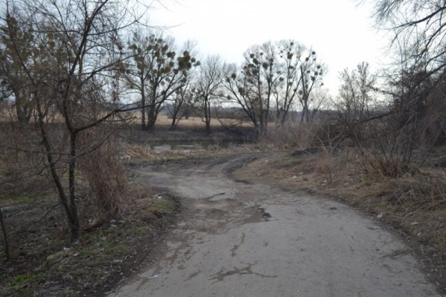 Околиці Луцького замку «тонуть» у смітті. ФОТО