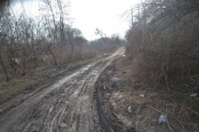 Околиці Луцького замку «тонуть» у смітті. ФОТО