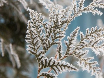 В Україні 7-9 жовтня будуть сильні заморозки